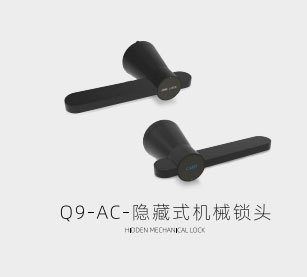 Q9-AC-隐藏式机械锁头